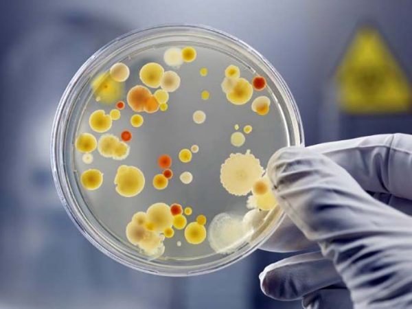 Pajisje për të zbuluar brenda pak minutash bakteret në organizëm